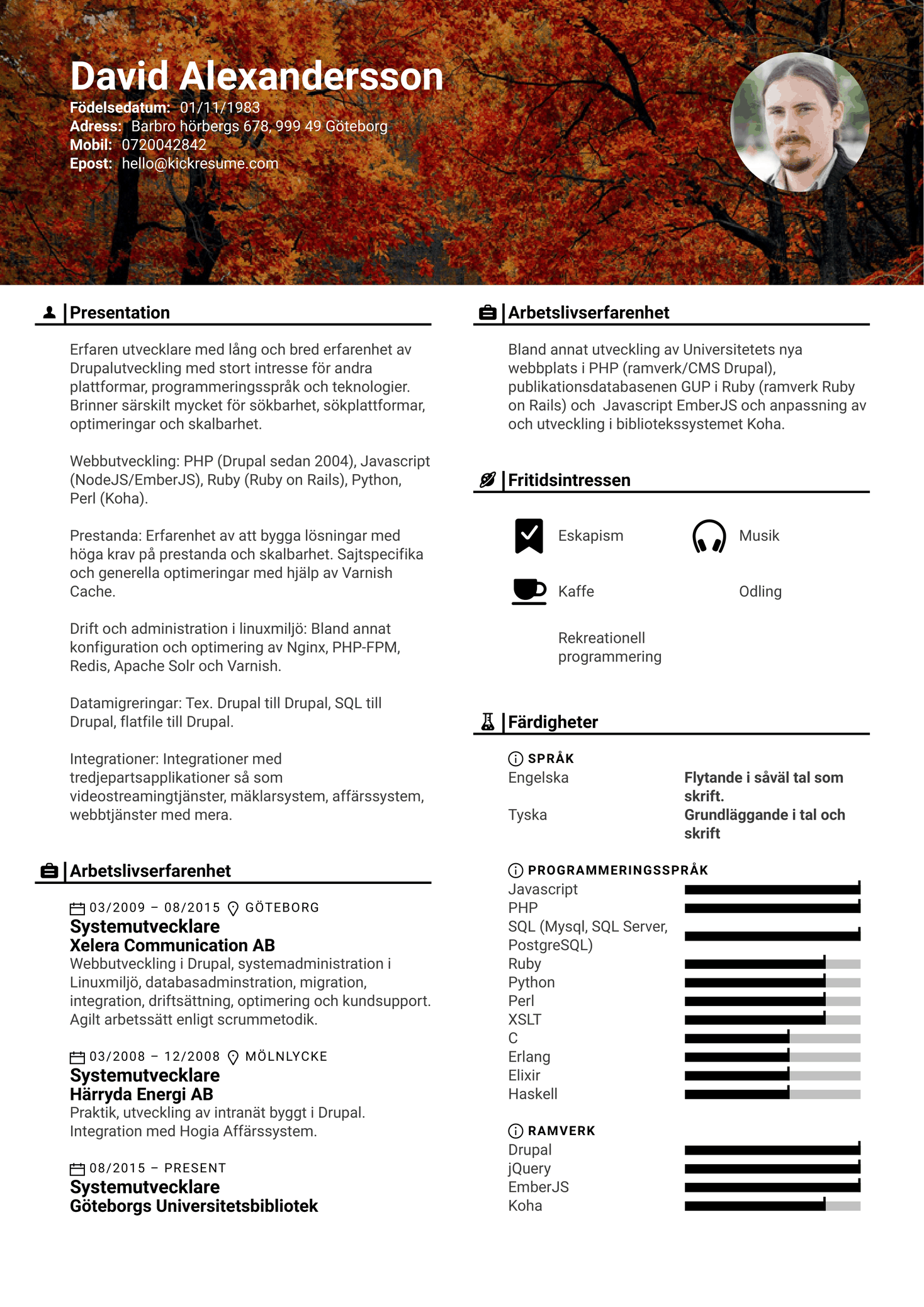 Software Developer [swedish] Systemutvecklare