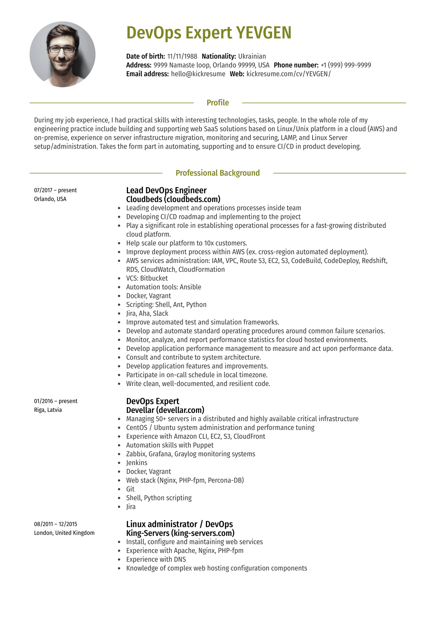 Illustrator Resume Example