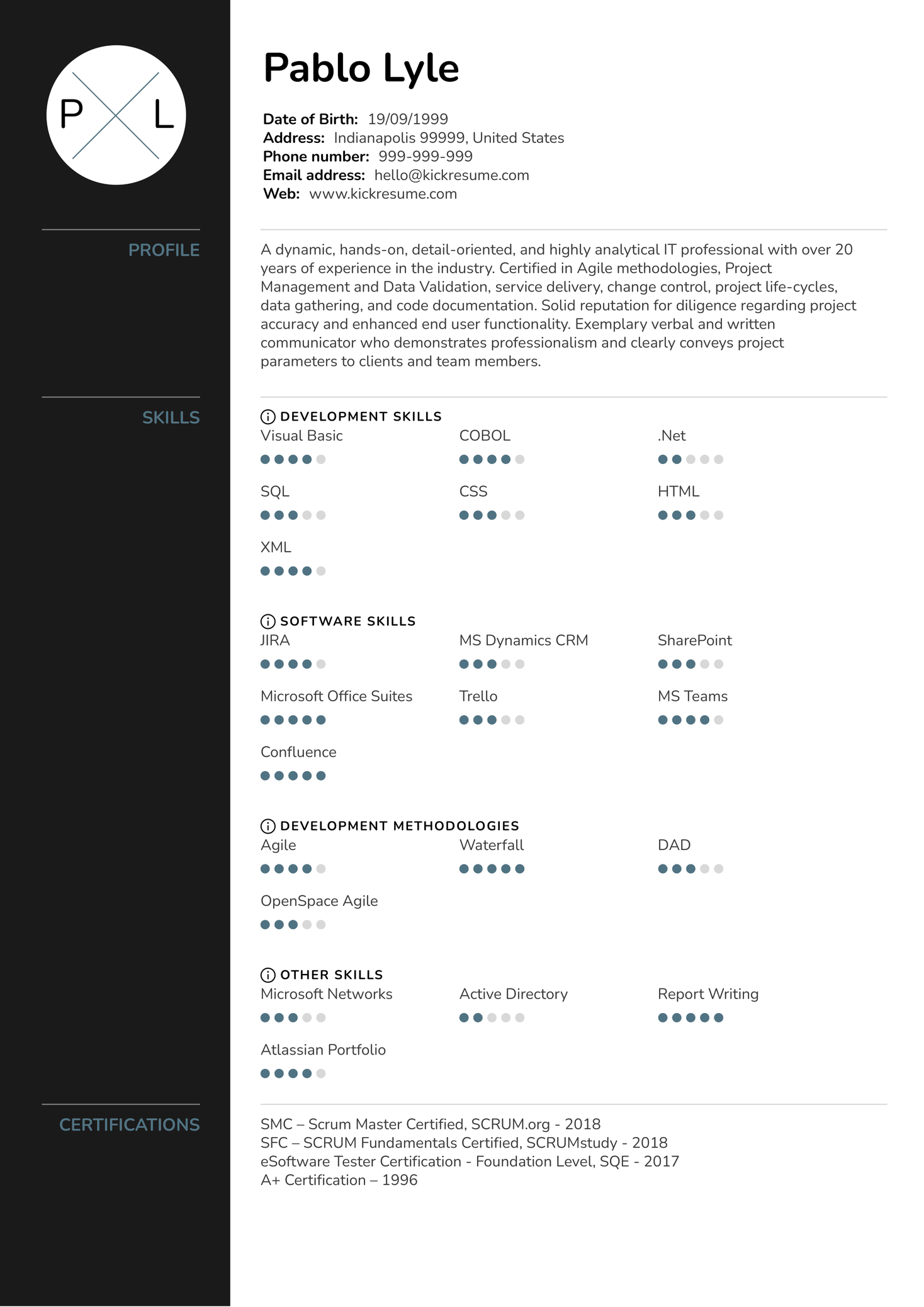 Intel IT Analyst Resume Example