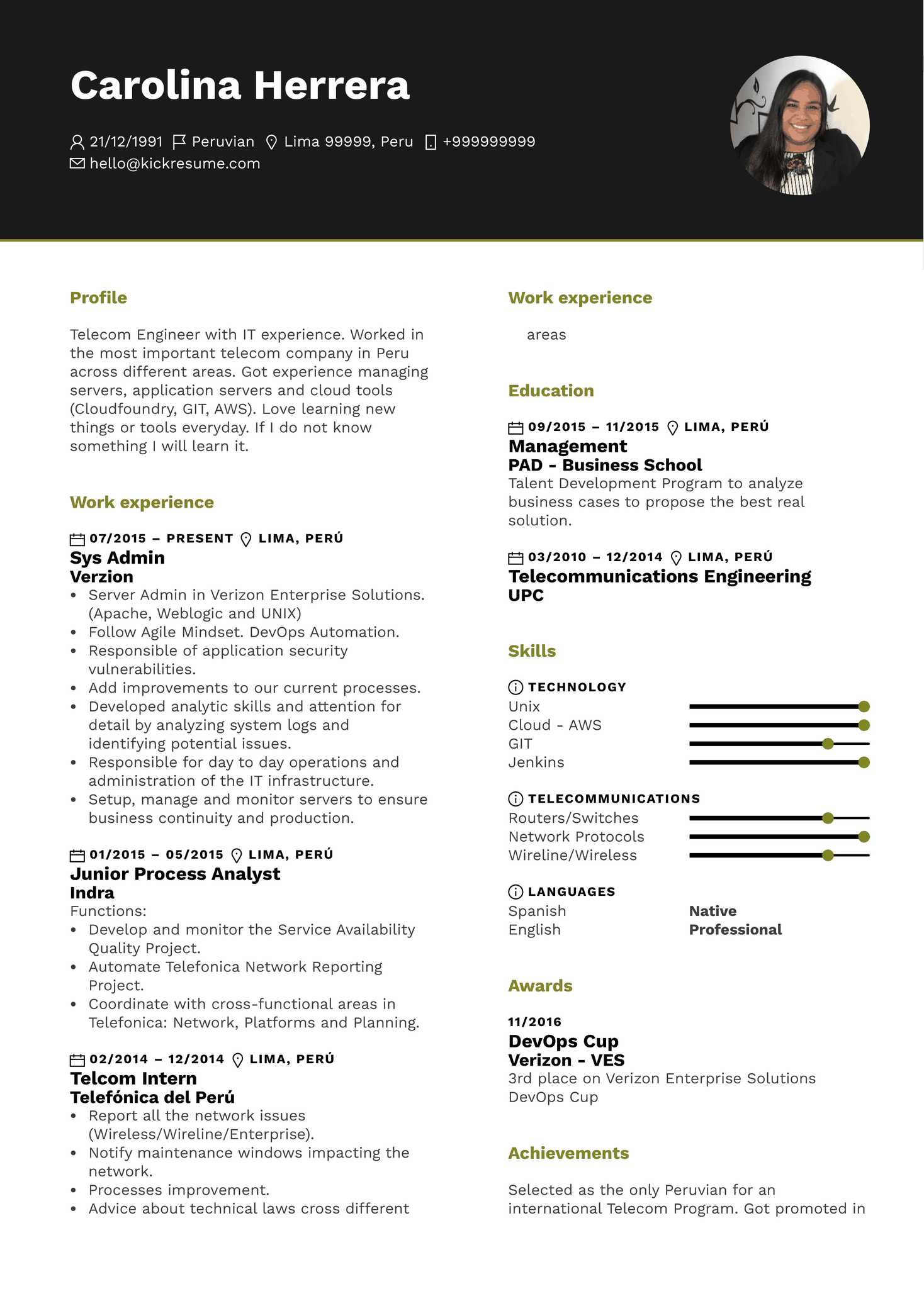 Business Development Executive Resume Sample