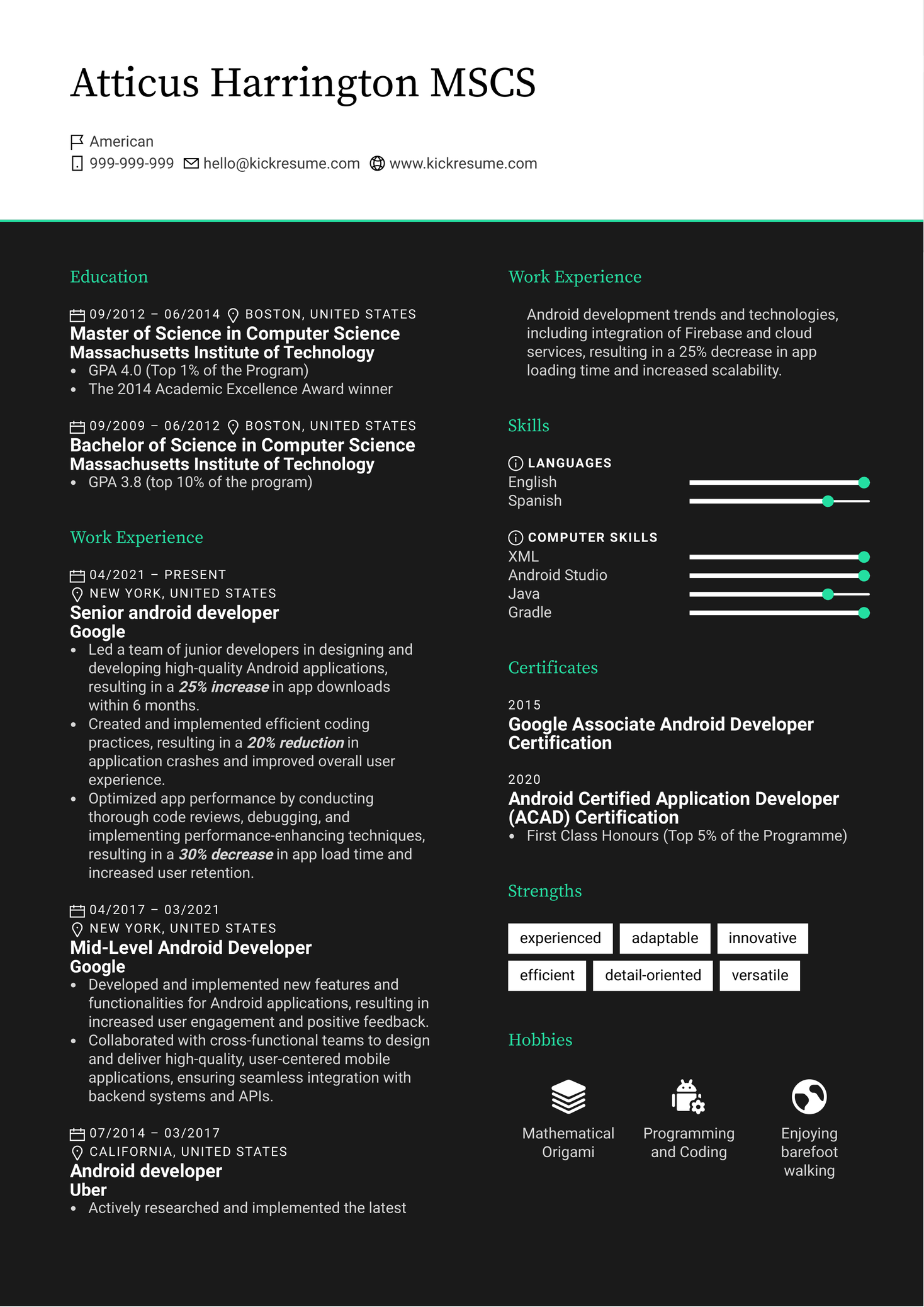 Google Account Executive Resume Sample