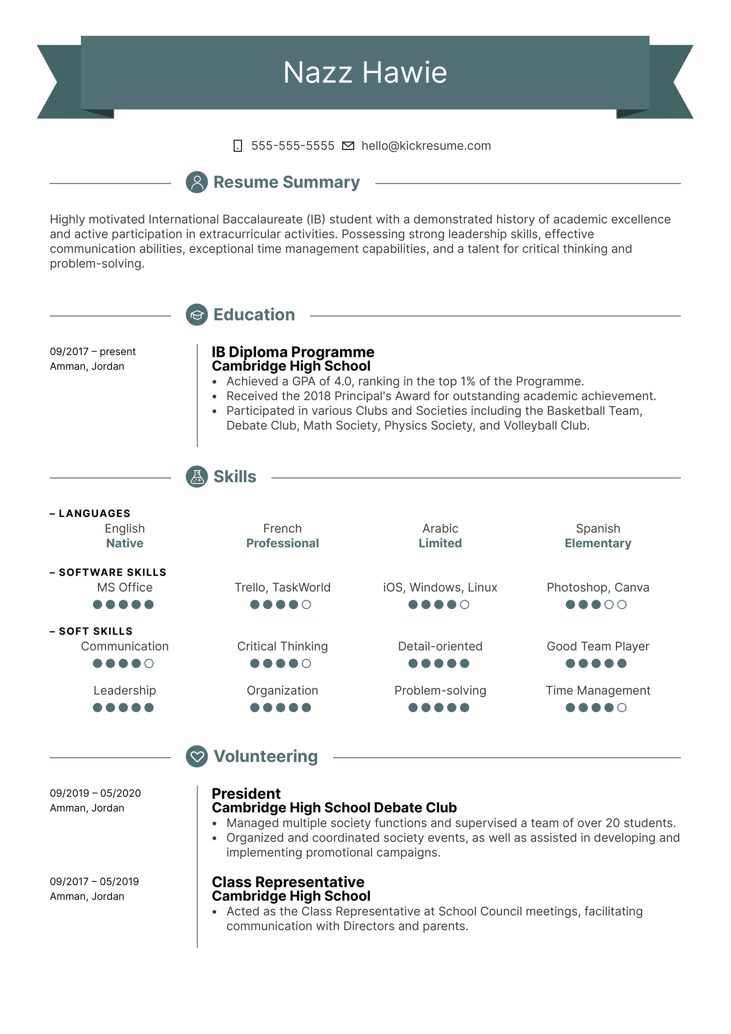 Experienced Software Developer CV Example