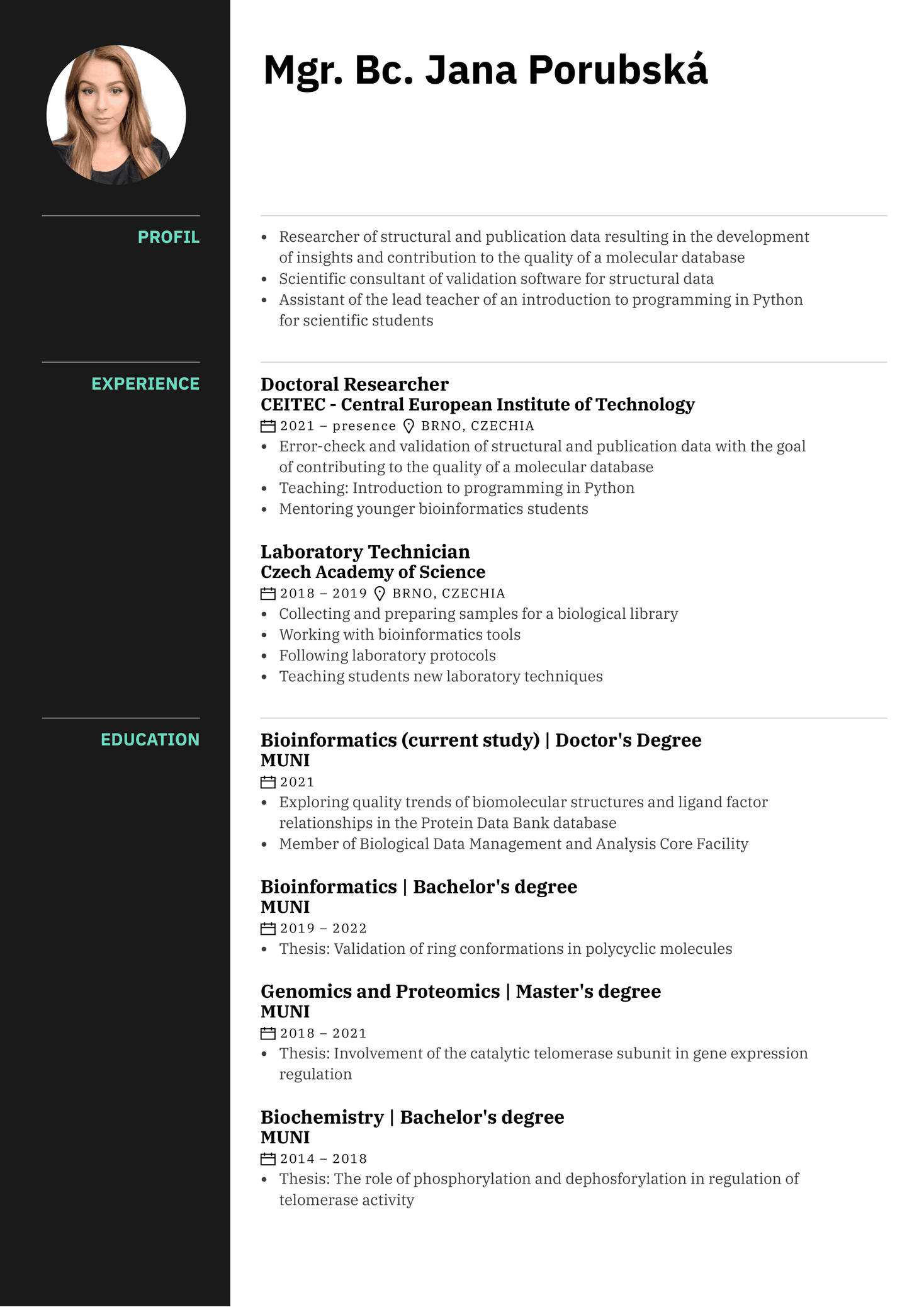 Mobile Software Engineer Resume Example