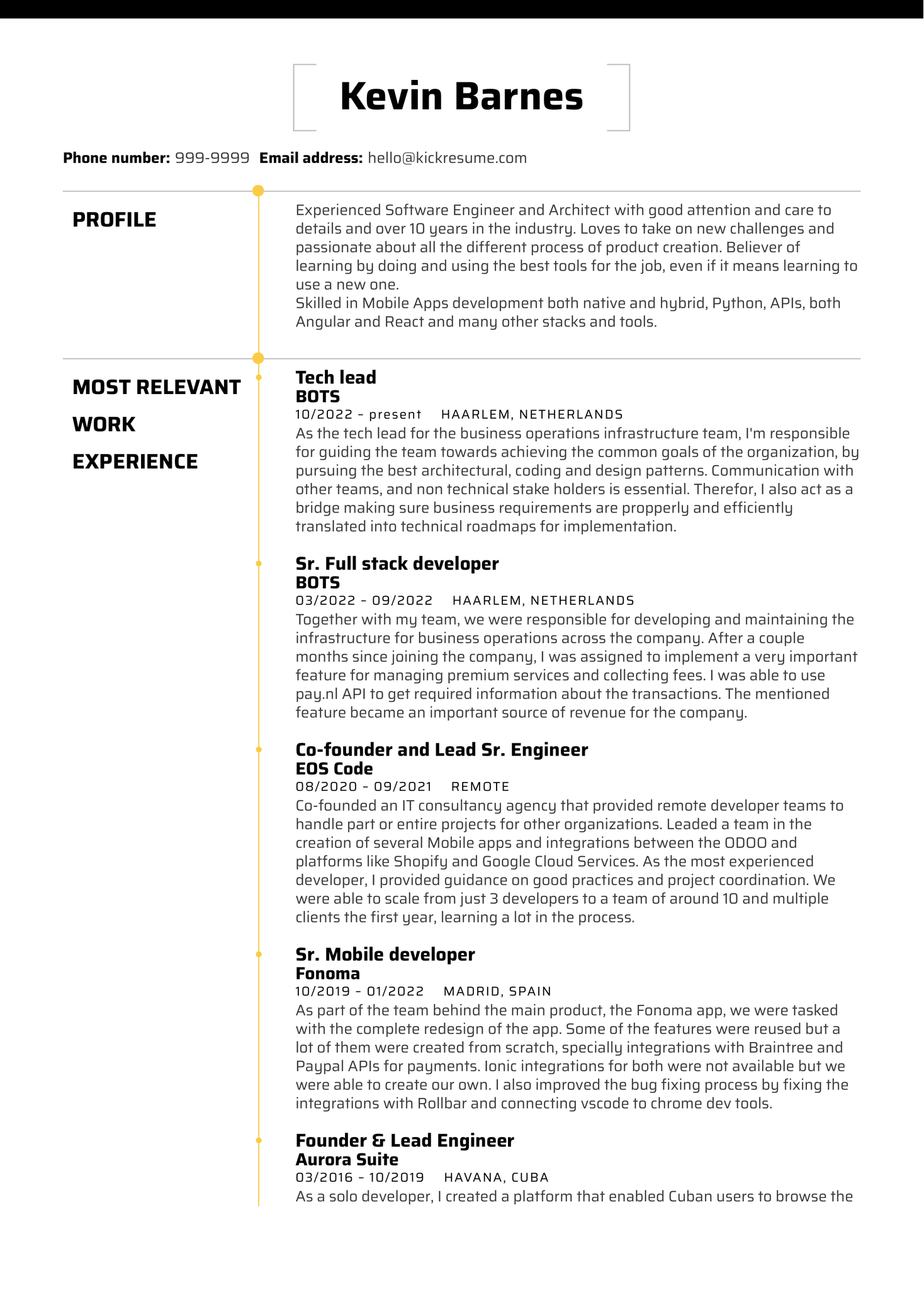 Business Development Manager Resume Example