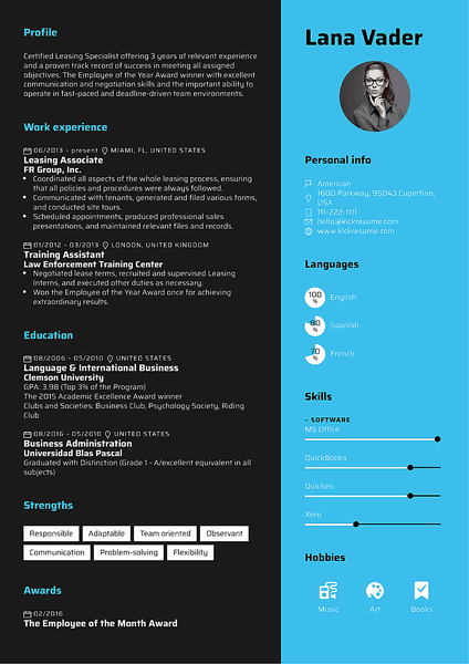 Preview of an attractive resume template with clean formatting and distinctively professional feel