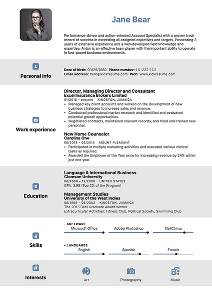 Preview of a functional resume template best suited to professionals in finance and banking