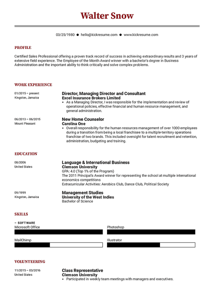 Compact resume template made by Kickresume resume builder