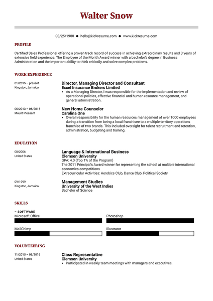 Compact resume template made by Kickresume resume builder