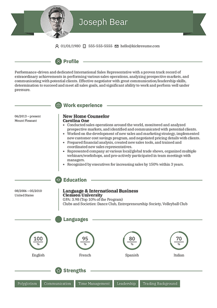 Preview of a functional resume template for students, interns, and job seekers with no experience