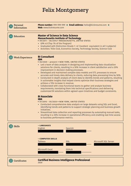 Healthcare Consultant Resume Example