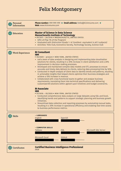 BI Consultant Resume Sample