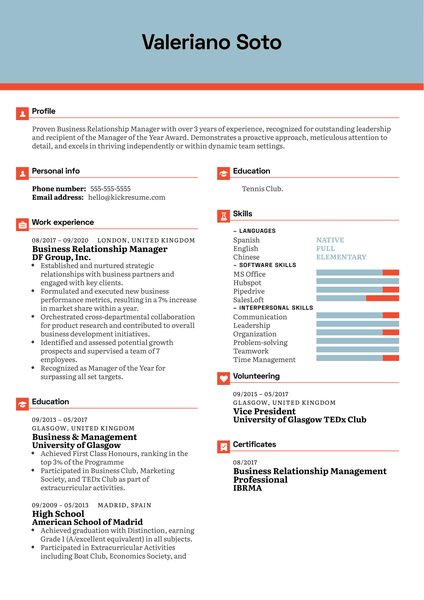 Human Resources Professional Resume Example