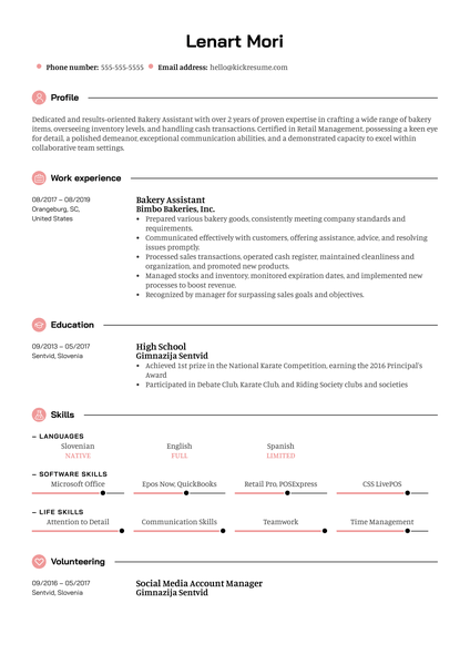 Network Systems Administrator Resume Template