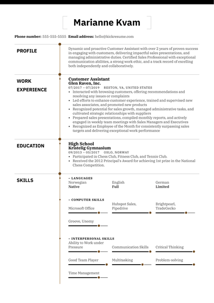 Information Security Officer Resume Sample