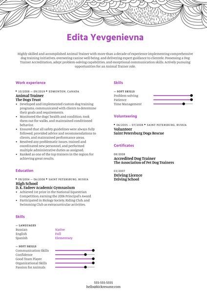 IT Assistant Resume Example