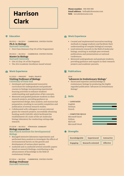Solicitor Resume Template
