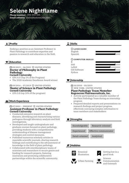 Student Resume Law Internship