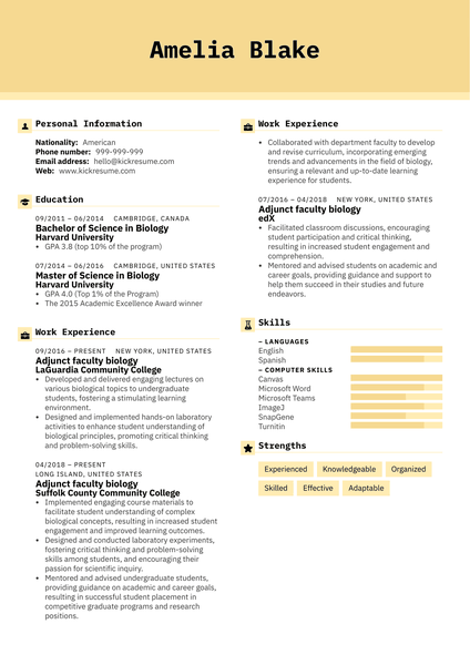 Law Clerk Resume Example