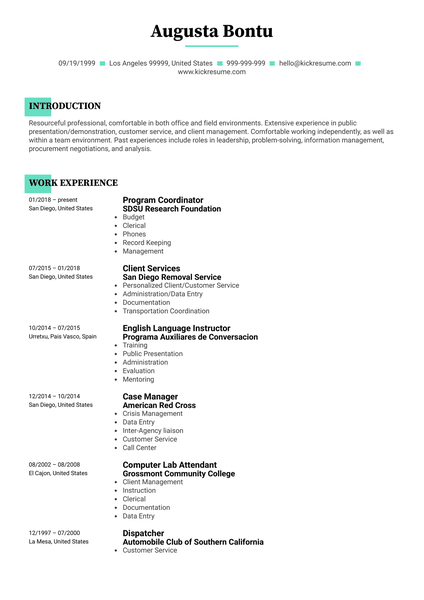 T-Mobile Junior Product Manager Resume Sample