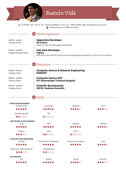 Air France Full-stack Developer Resume Template