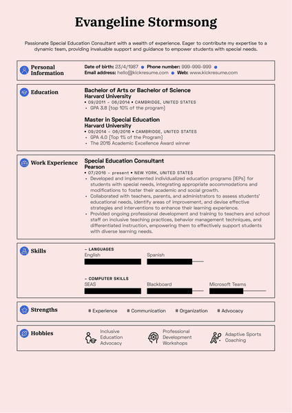 Special Education Consultant Resume Sample