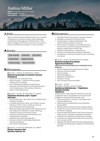 Head of Community & Customer Success at BrainAhead Resume Sample