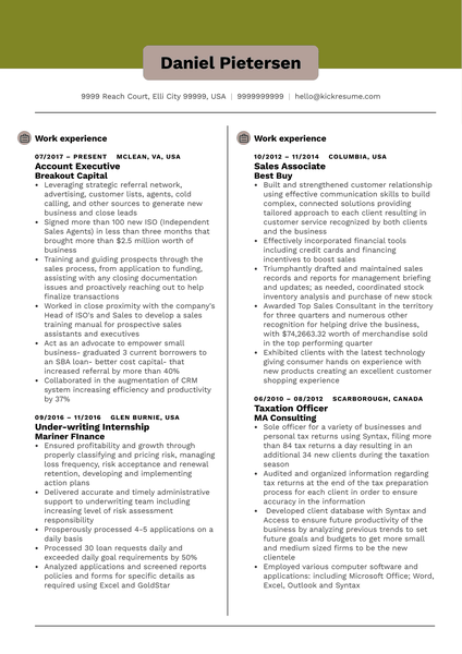 Account Executive Resume Sample