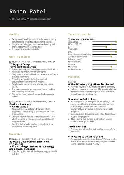 Brand Manager Resume Example