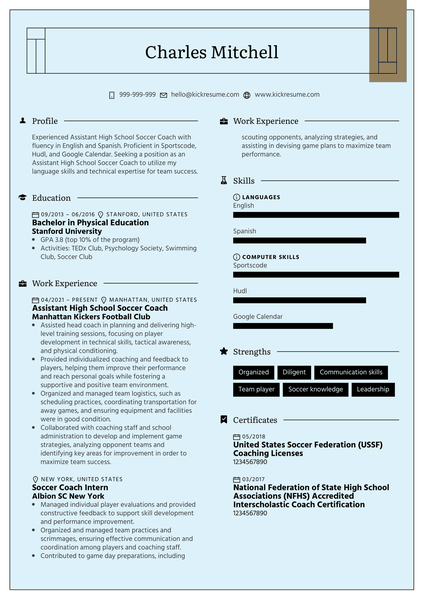 Brand Strategist Resume Example