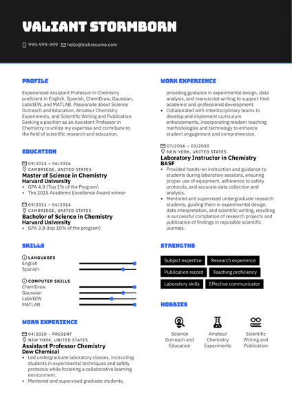 Digital Marketer Resume Example