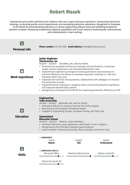 Marketing Professional Resume Example