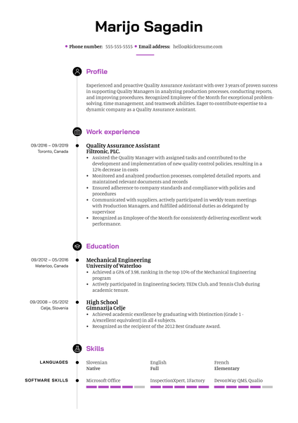 Sales Clerk Resume Example