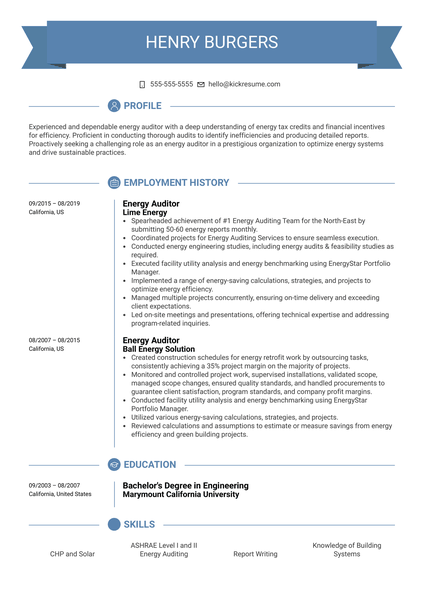 Medical Sales Representative Resume Sample