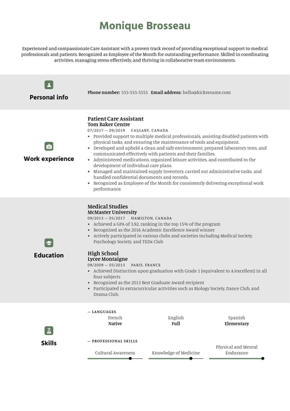 TeamTO Lead Front-end Developer CV Sample