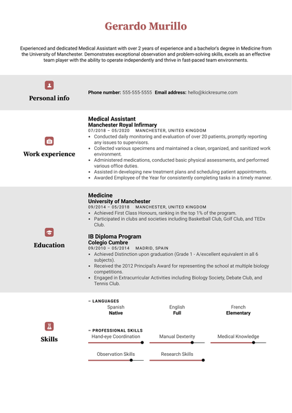 Manual Tester Resume Sample