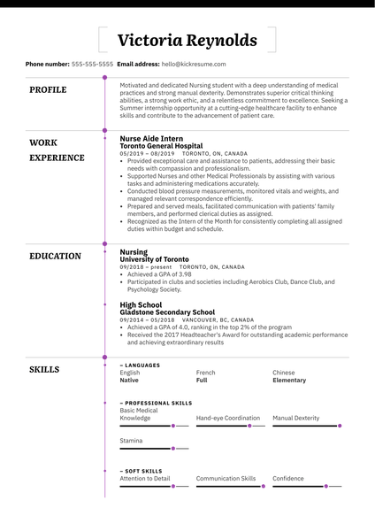 Senior Systems Analyst CV Sample