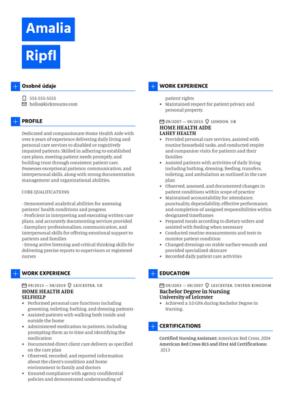 Destination NSW Partner Resume Example