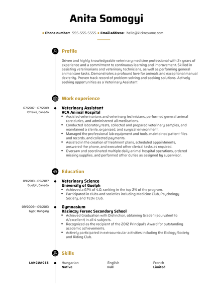 QA Engineer Resume Example