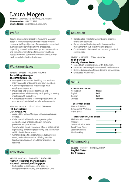 IT Developer Engineer Resume Sample