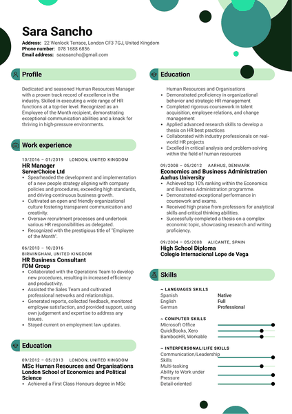 Software Analyst CV Example