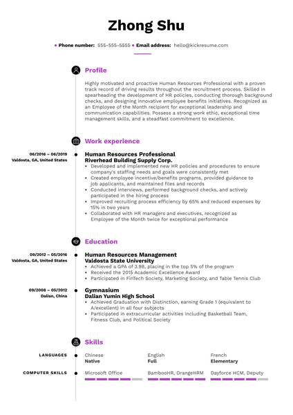 Human Resources Professional Resume Example