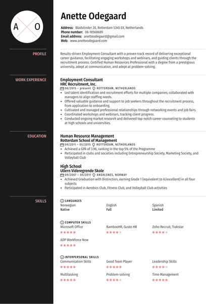 Employment Consultant Resume Example