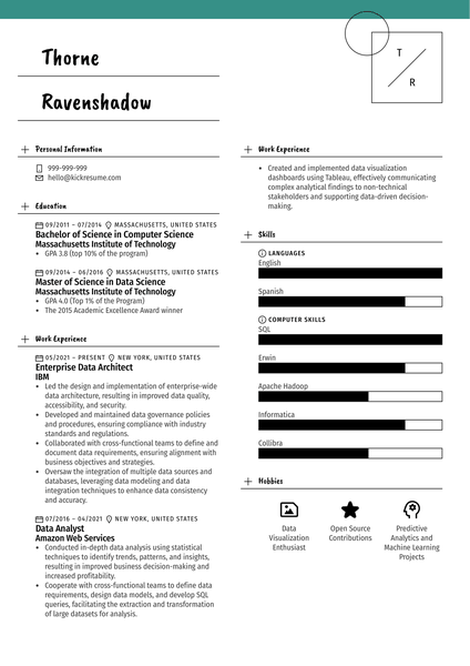 Information Analyst Resume Example