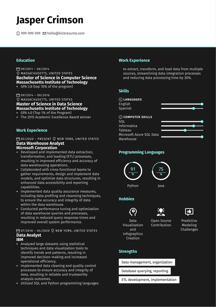 Data Warehouse Analyst Resume Sample