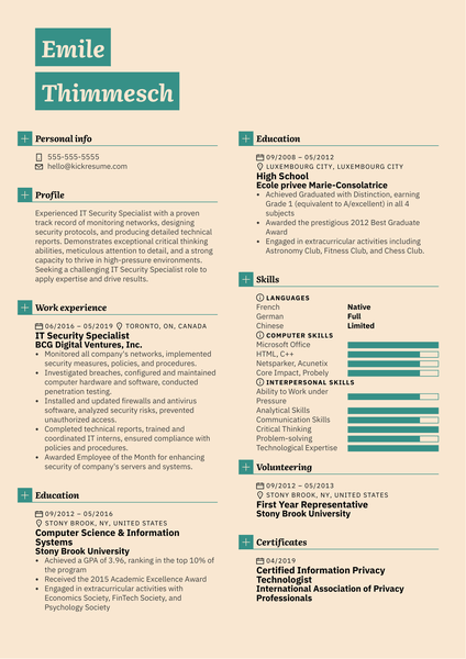 IT Security Specialist Resume Sample