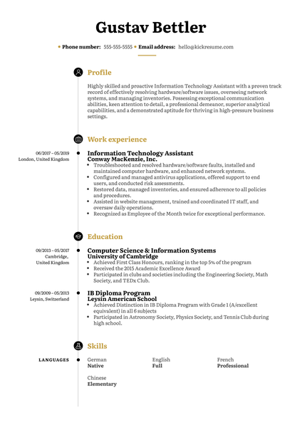 Problem Manager Resume Example
