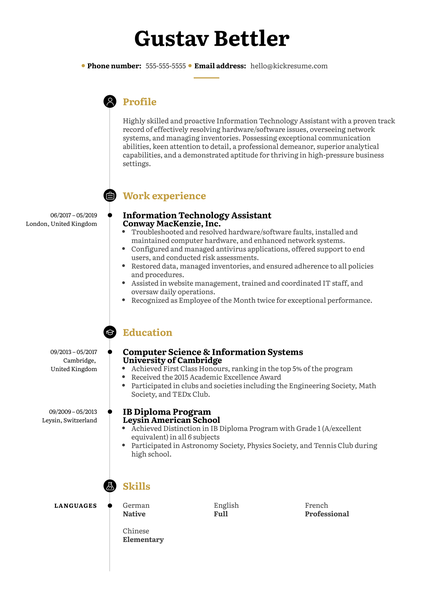 Information Technology Assistant Resume Sample