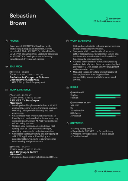 ASP.NET C# Developer Resume Sample
