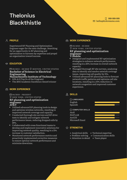 Project Manager Resume Sample