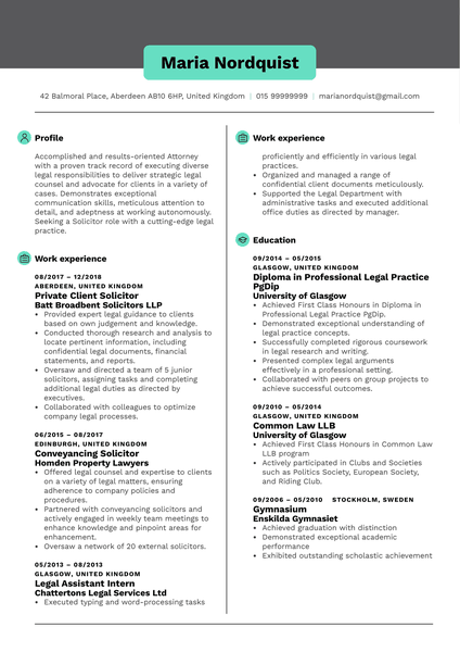 Senior Project Manager Resume Example